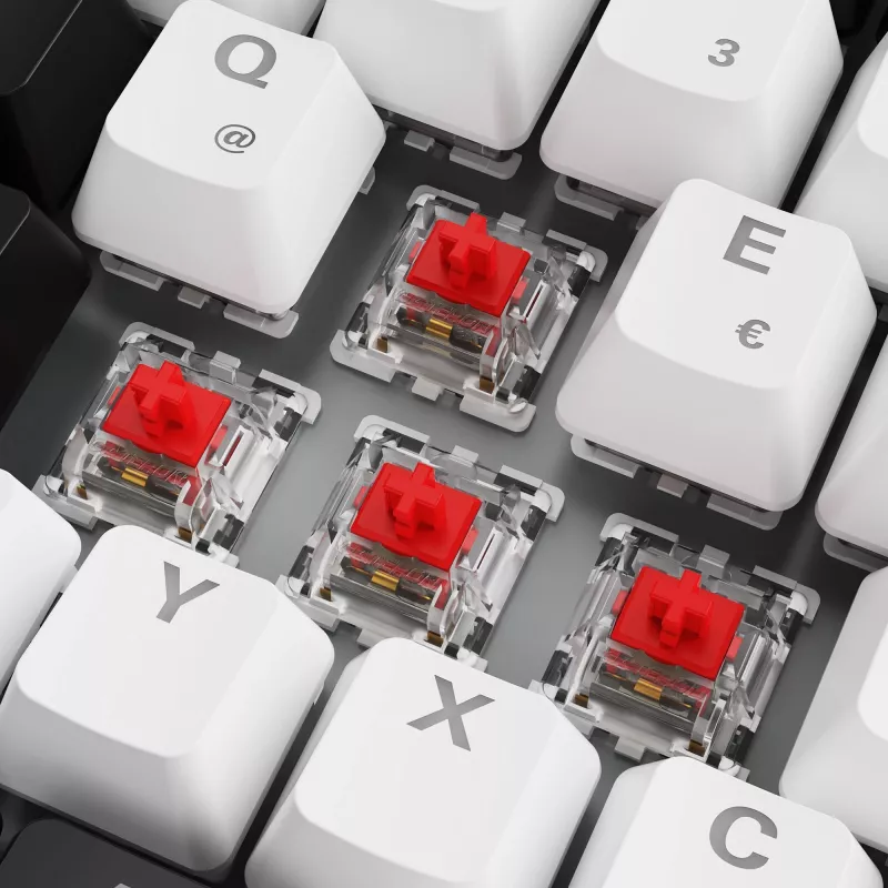 Sharkoon SKILLER SGK50 S3 - Teclado - 75% - Retroiluminação - USB - QWERTZ - Alemão - Interruptores: Gateron Red (Hot-swappable)