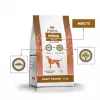 PUPIL Premium Insetos - Alimento seco para cães - 12 kg