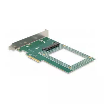 Placa DeLOCK PCI Express x4 para 1 x U.2 NVMe SFF-8639 interno