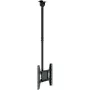 Suporte de teto Hagor PLD Medium Single 32-49