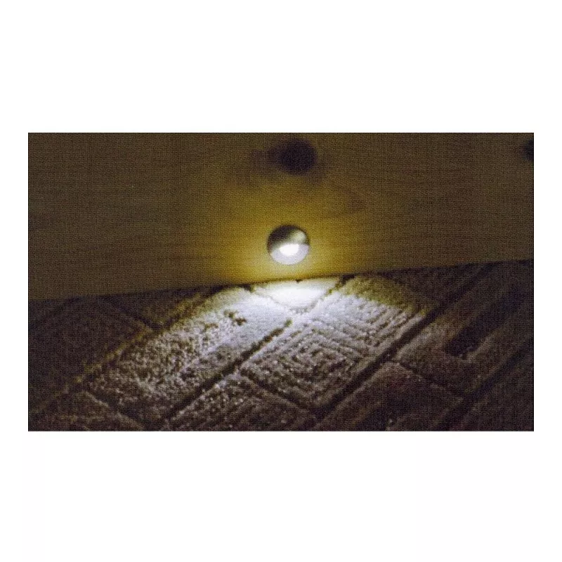 Synergy 21 S21-LED-L00024 Adequado para interior/exterior para interior foco de encastrar 0,6 W preto - prateado ponto de luz
