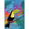 Puzzle Moment Ravensburger — Magic Toucan, 300 peças, Adultos/Avançados