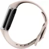 Fitbit GA05185-EU Produto Prateado