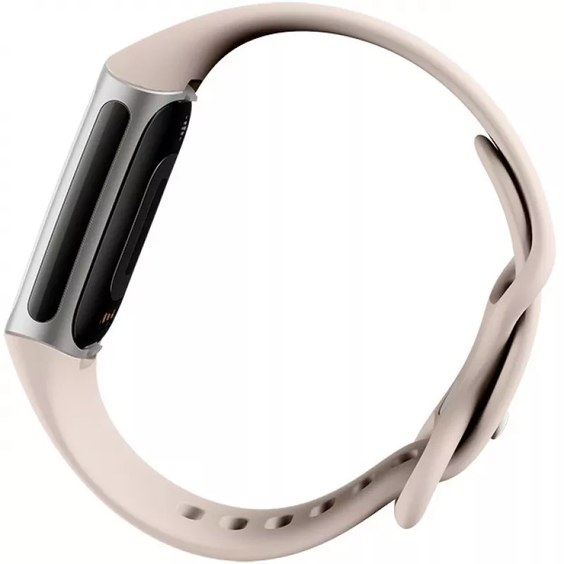Fitbit GA05185-EU Produto Prateado
