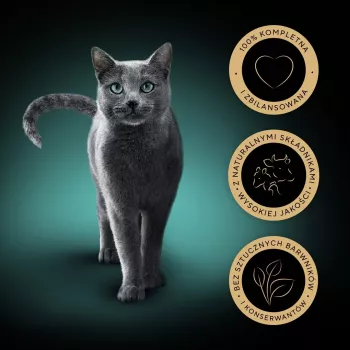 Comida húmida para gatos Sheba Moist, saqueta 12×85 g (1020 g), frango e borrego, adulto