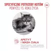 ROYAL CANIN Ageing 15+ ração seca para gatos – 4 kg