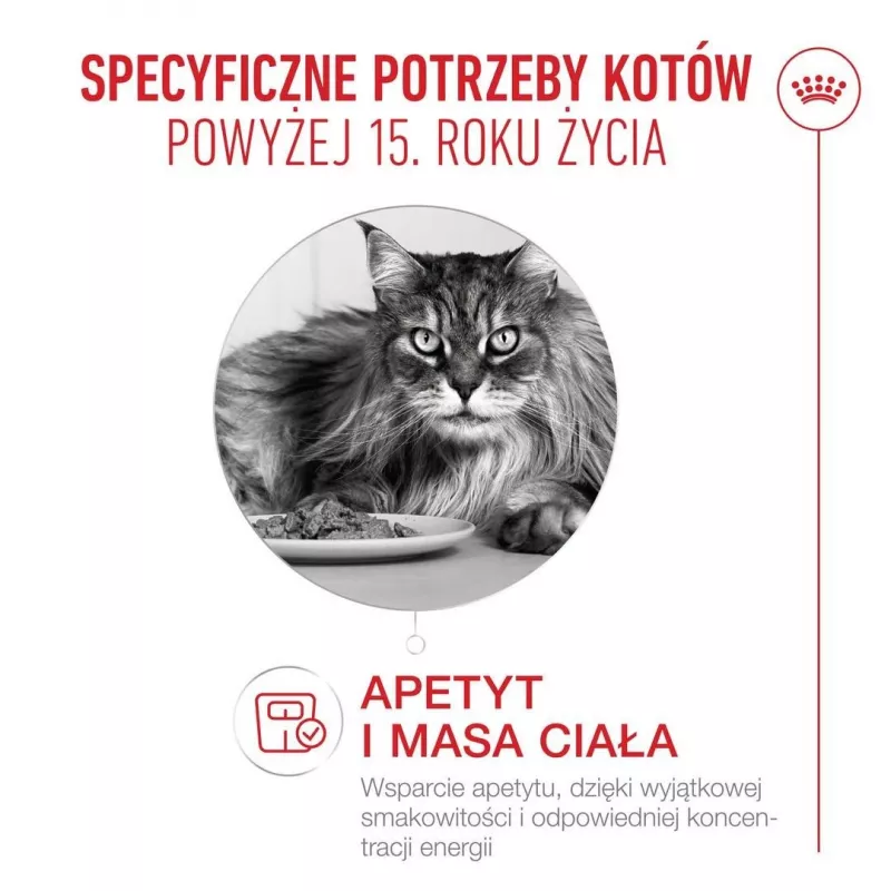 ROYAL CANIN Ageing 15+ ração seca para gatos – 4 kg