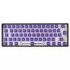 White Shark Purplepulse interruptores mecânicos 65 unid.