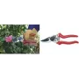Tesoura de jardim de corte por bypass C.K Tools G5631 215 mm – 215 mm de comprimento de corte, lâminas de bypass