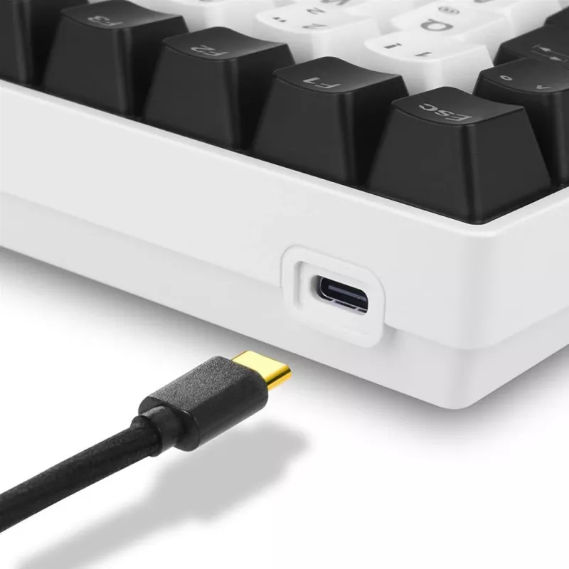 Teclado Sharkoon SKILLER SGK50 S3 Gaming USB QWERTY português branco