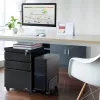 Unidade de gavetas de escritório Maclean MC-850 preto metal 2 gavetas