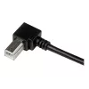 Cabo USB 2.0 A para B em ângulo reto StarTech.com 3 m – M/M, 3 m, USB A, USB B, USB 2.0, preto