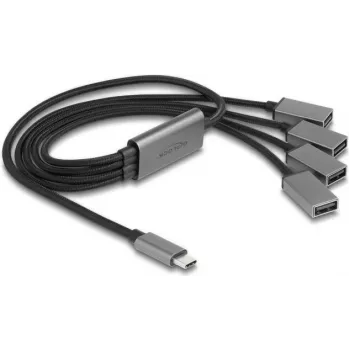 DeLOCK 64210 hub USB 2.0 Type-C 480 Mbit/s preto cinzento