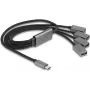 DeLOCK 64210 hub USB 2.0 Type-C 480 Mbit/s preto cinzento