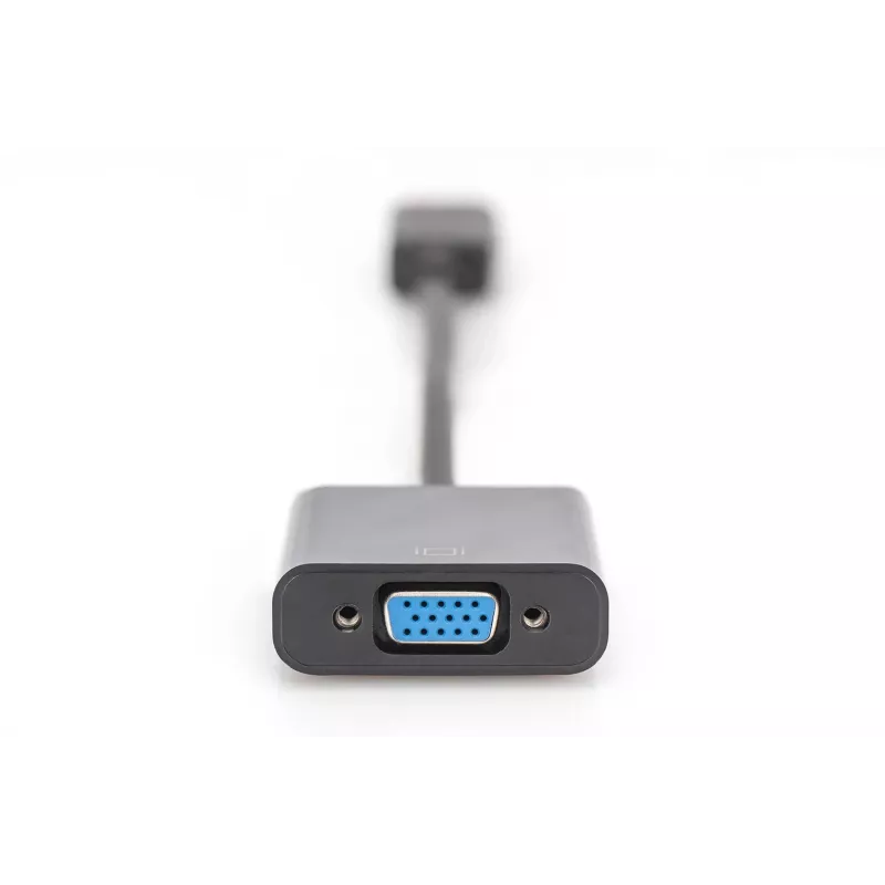 Digitus Adaptador / conversor DisplayPort