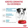 ROYAL CANIN SHN Mini Puppy in Sauce - Comida húmida para cachorros - 12X85g