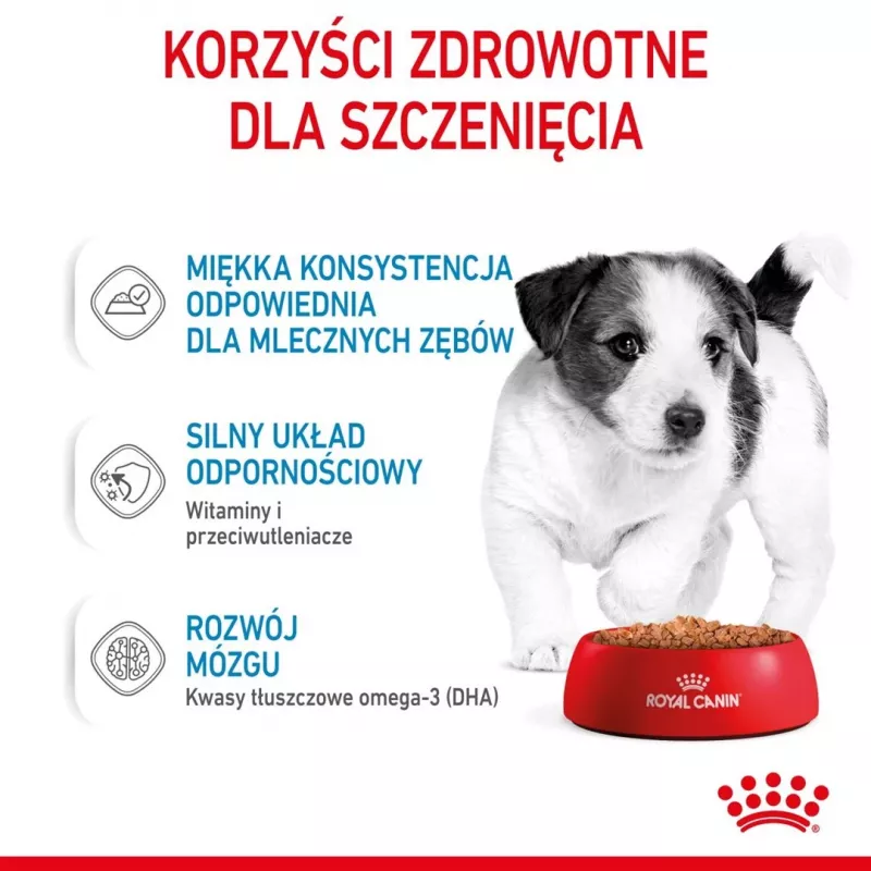 ROYAL CANIN SHN Mini Puppy in Sauce - Comida húmida para cachorros - 12X85g