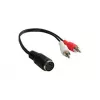 Alcasa AD-2CS5B cabo de áudio 0,2 m 2 x RCA DIN (5 pinos) preto - vermelho - branco (AD-2CS5B)