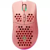 Rato Deltaco GAM-120-P