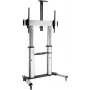 ROLINE Suporte para ecrã LCD - prateado - tamanho do ecrã: 152,4-254 cm (60-100)