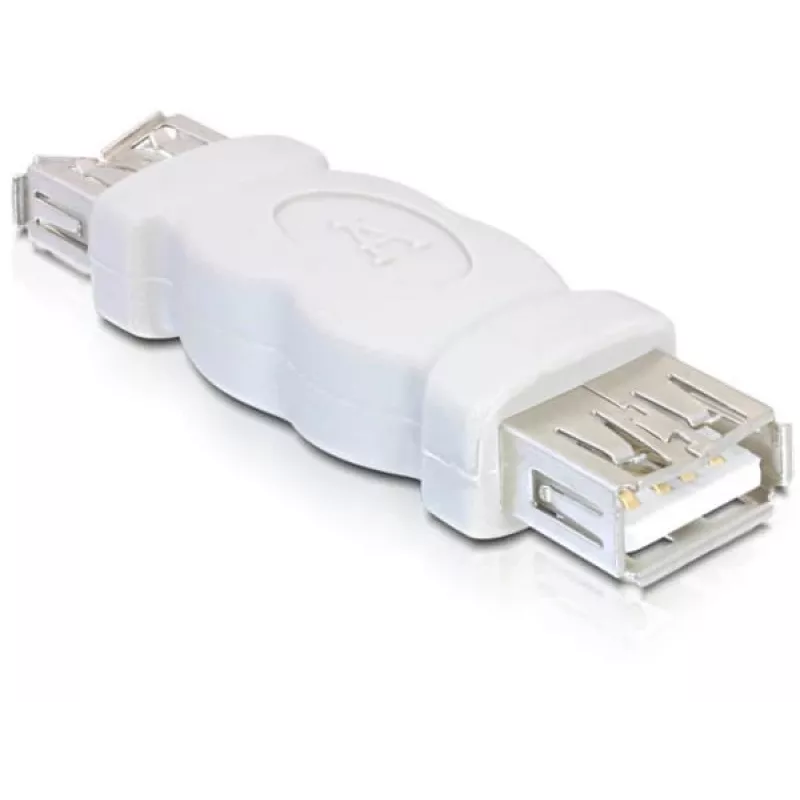 Adaptador USB A DeLOCK 65012