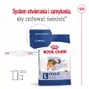 Royal Canin Maxi Adult ração seca para cães, 15 kg