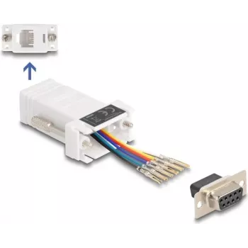 Adaptador de cabo DeLOCK 67078 D-Sub 9 RJ12 branco