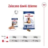 ROYAL CANIN SHN Maxi Ageing pão lata 410 g