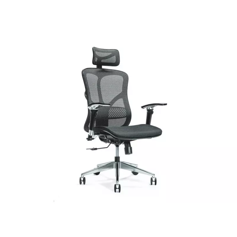Cadeira de escritório ergonómica ERGO 500 preta