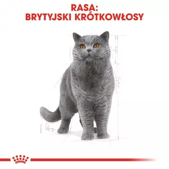 Comida húmida para gatos Royal Canin British Shorthair Adult saqueta 85 g, aves, ROYAL CANIN Feline Breed Nutrition