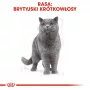 Comida húmida para gatos Royal Canin British Shorthair Adult saqueta 85 g, aves, ROYAL CANIN Feline Breed Nutrition
