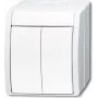 BUSCH-JAEGER Series Switch 2601/5W-54 ocean Alpinweiß IP44 Interruptor de tecla 2601/5W-54 (1085-0-1621)