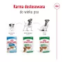 Comida húmida para cães Royal Canin Mini Adult saqueta 85 g, aves, para raças pequenas 5–10 kg, pack de 12 × 85 g
