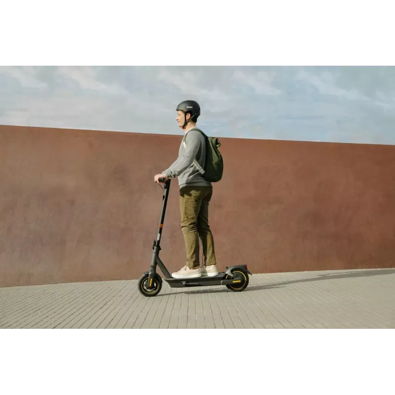 Trotinete clássica Ninebot by Segway KickScooter MAX G2 D
