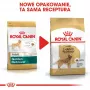 ROYAL CANIN BHN Golden Retriever ração seca para cães - 12 kg