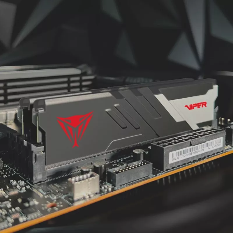 Patriot Viper Venom módulo de memória DDR5-6000 CL30 de 16 GB (PVV516G60C30)