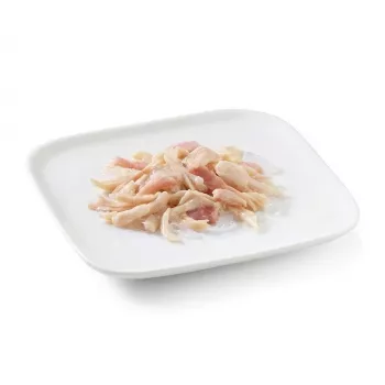 SCHESIR em geleia frango com presunto - comida húmida para cães - 150 g