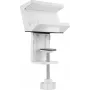 Suporte universal de fixação por mola para régua de tomadas SpeaKa Professional SP-PSH-001 SP-13403152 branco 1 unid.