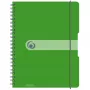 Caderno Herlitz 11293099 A4 80 folhas verde