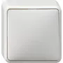 GIRA 010613 Interruptor elétrico branco (010613)