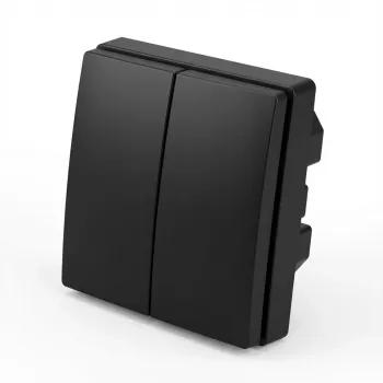 BUSCH JAEGER BJ 2505-915 Tecla interruptor duplo Busch-balance SI (2CKA001731A4040)