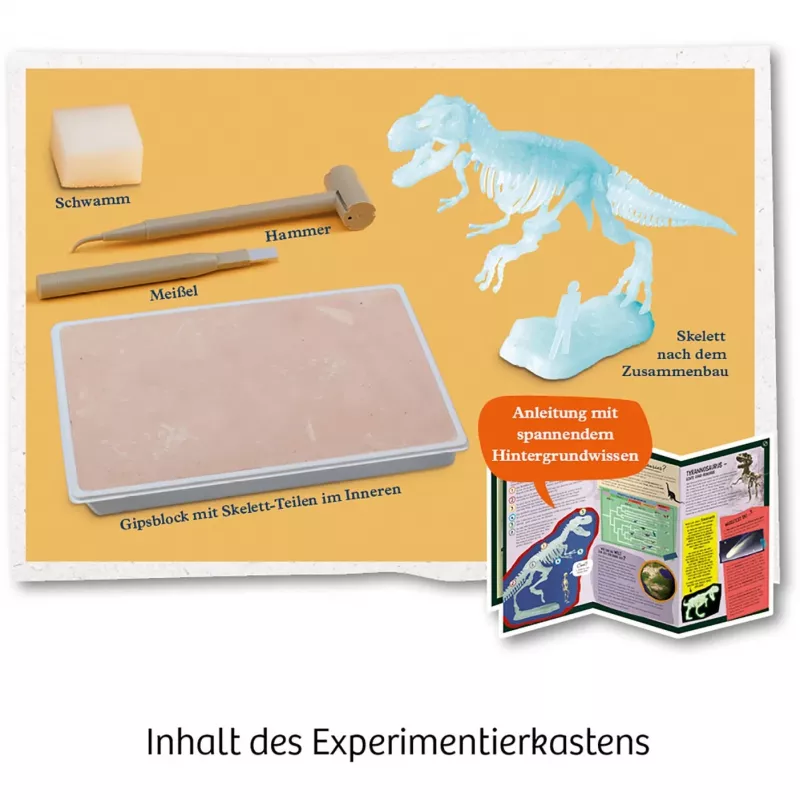 Kosmos T-REX, Realidade aumentada, 7 ano(s), Verde Kosmos T-REX. Tipo: Realidade aumentada, Idade recomendada (mín.): 7 ano(s), Cor do produto: Verde
