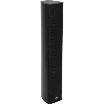 Coluna de exterior Omnitronic ODC-244T preto 100W IP65