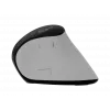 Rato vertical sem fios NATEC Euphoniе Pro Bluetooth 5.0, 4000 DPI, programável, silencioso, branco