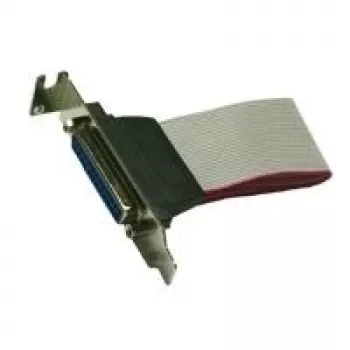 Cabo de slot LowProfile Exsys EX-K41005 paralelo 25 pinos 30 cm