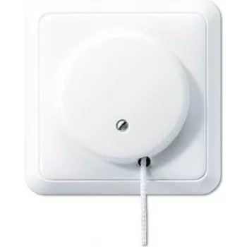 JUNG 5506ZUWW - Interruptor de corrente - Com fio - Branco - Duroplasto - 250 V - 10 A