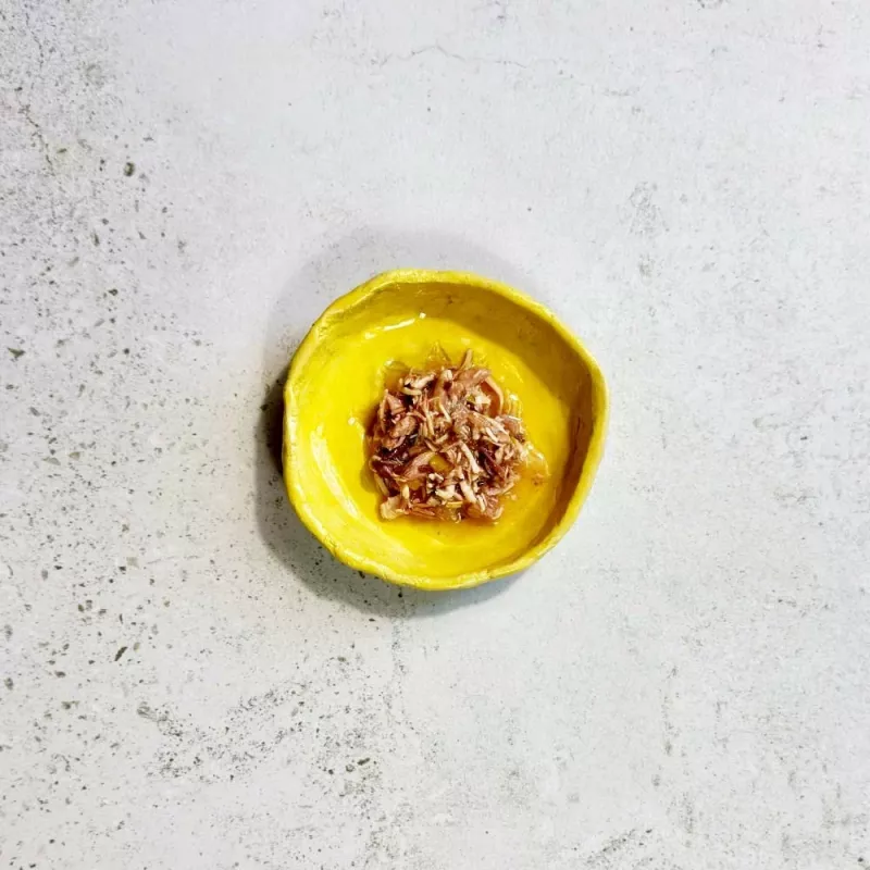 Ollo Atum & Frango com Lula & Camarão em Caldo Nº 4 70g