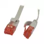 Synergy 21 0,5m Cat6 RJ-45 - 0,5 m - Cat6 - U/UTP (UTP) - RJ-45 - RJ-45 - cinzento