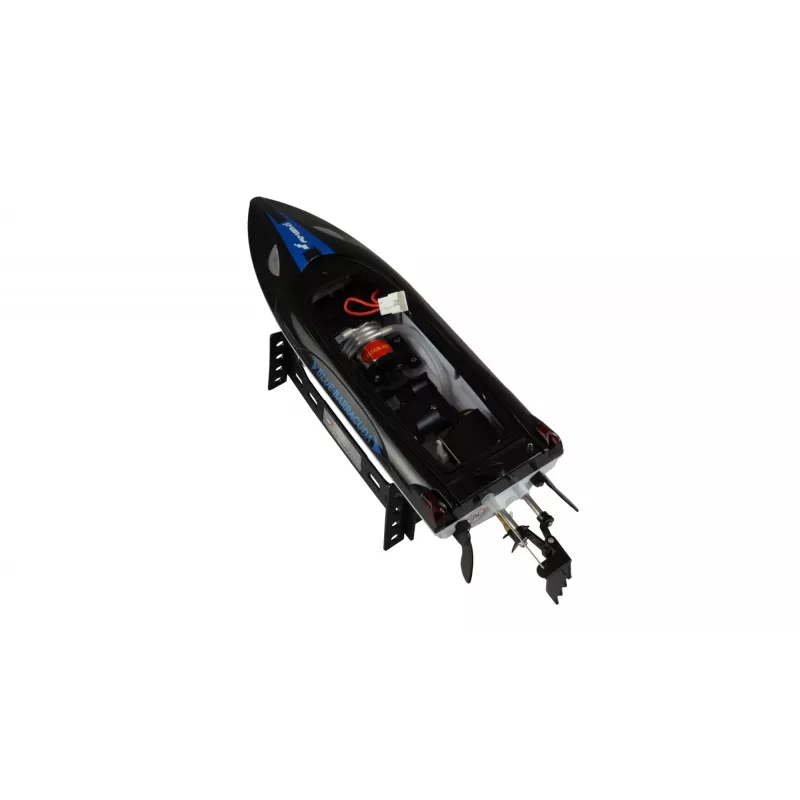 Barco Amewi Blue Barracuda V2