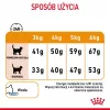 ROYAL CANIN Hair&Skin Care Adult - ração seca para gatos - 400g